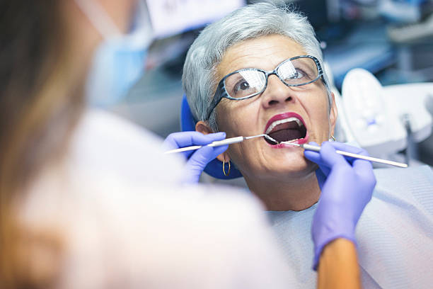Professional Holistic Dental Care Services in Hazel Crest, IL